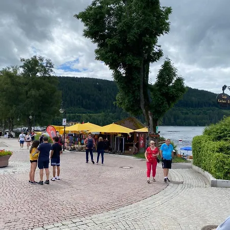 Haus Janssen-wehrle Titisee-Neustadt