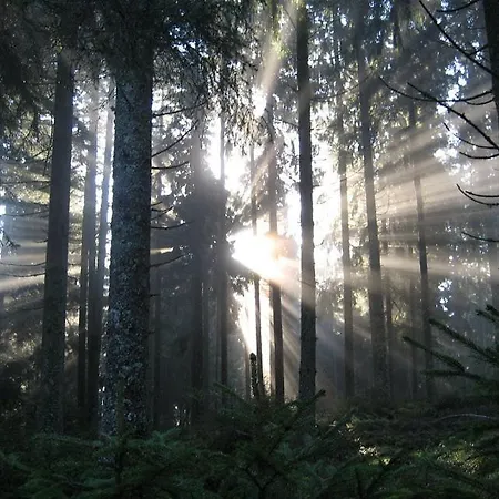 Haus Janssen-wehrle Apartamento