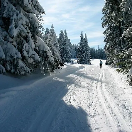 Haus Janssen-wehrle Apartamento Titisee-Neustadt