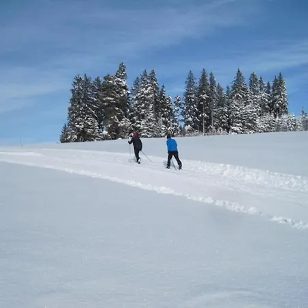 דירה Haus Janssen-wehrle