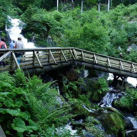 Apartamento Haus Janssen-wehrle Titisee-Neustadt