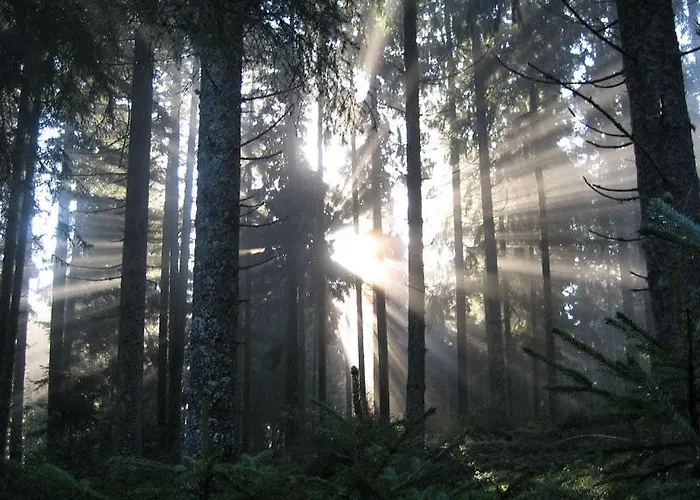 Haus Janssen-wehrle Appartamento