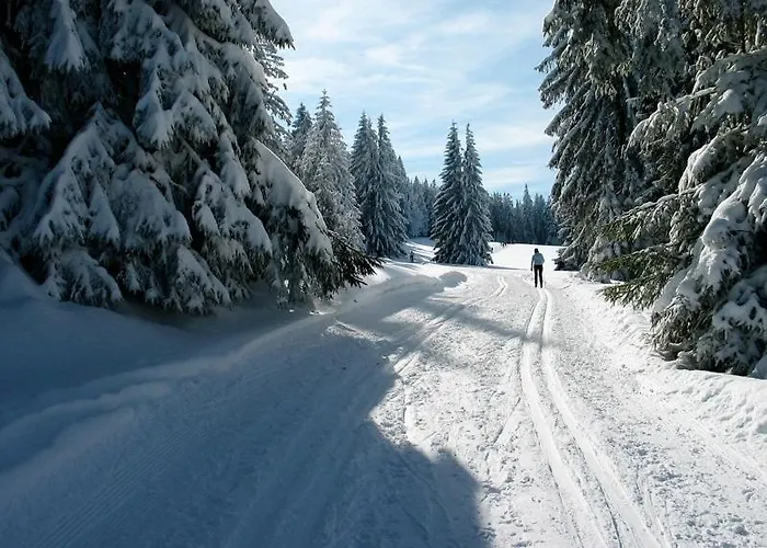 Haus Janssen-wehrle Appartamento Titisee-Neustadt