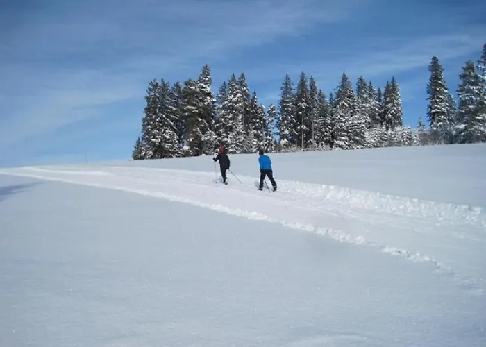 Appartamento Haus Janssen-wehrle