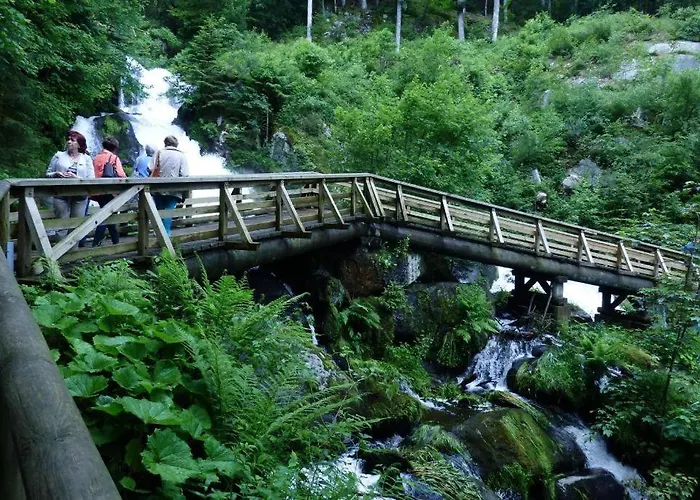 Appartamento Haus Janssen-wehrle Titisee-Neustadt