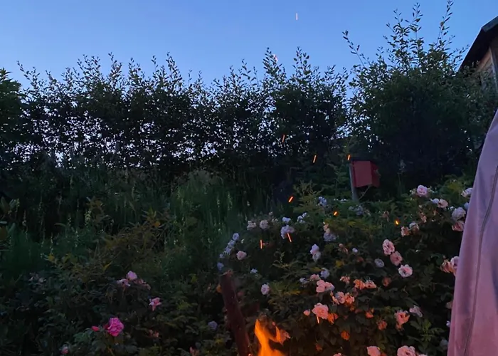 Haus Janssen-wehrle * Titisee-Neustadt